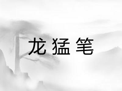 龙猛笔