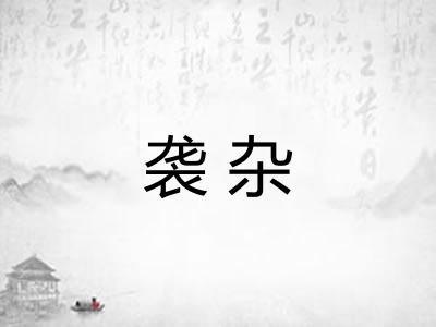 袭杂