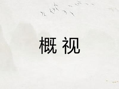 概视