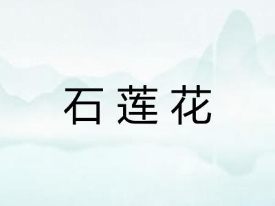 石莲花