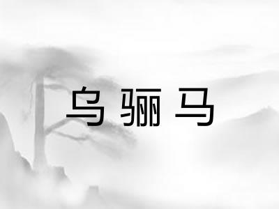 乌骊马