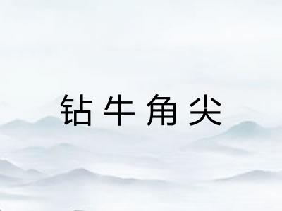 钻牛角尖