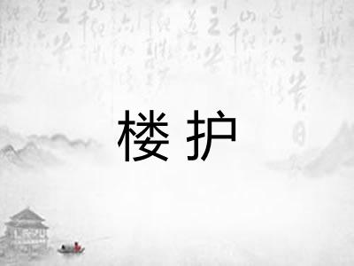 楼护