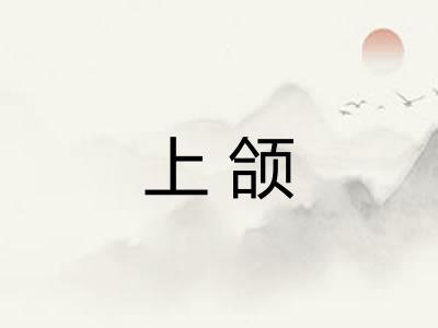 上颌