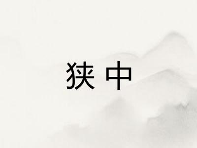 狭中