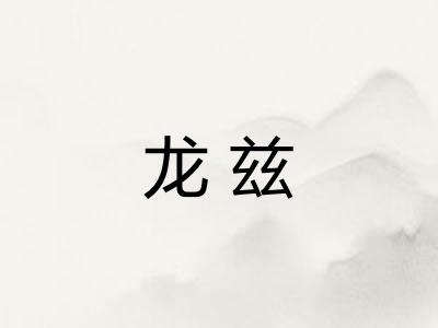 龙兹