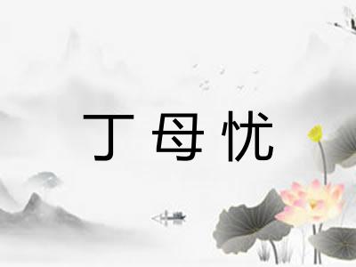 丁母忧