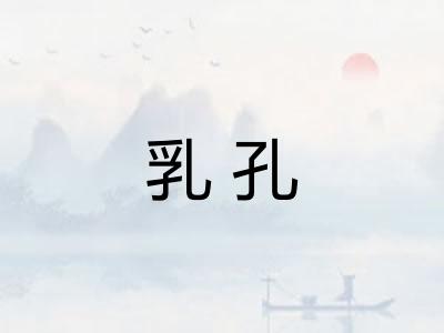 乳孔