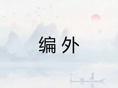编外