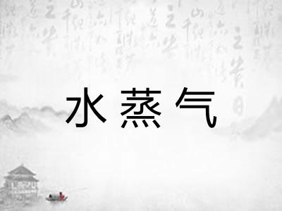 水蒸气