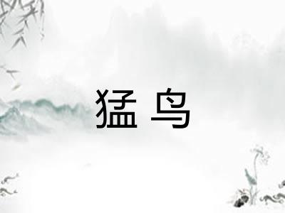 猛鸟