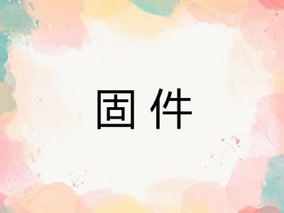 固件
