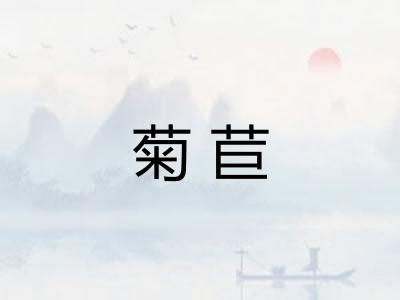 菊苣