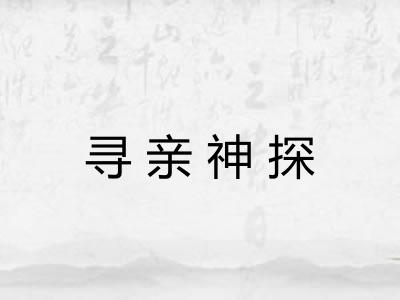 寻亲神探