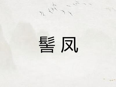 髻凤