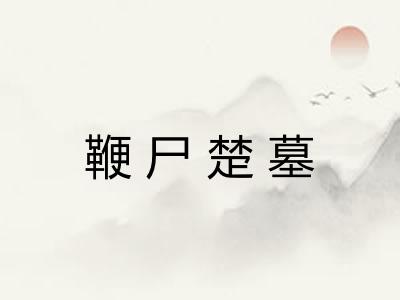 鞭尸楚墓