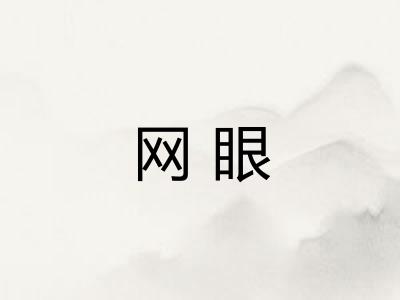 网眼