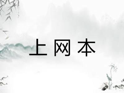 上网本