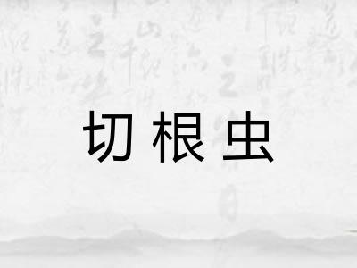 切根虫