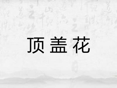 顶盖花