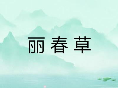 丽春草