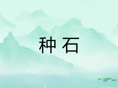 种石