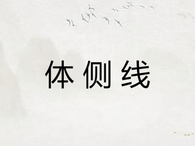 体侧线