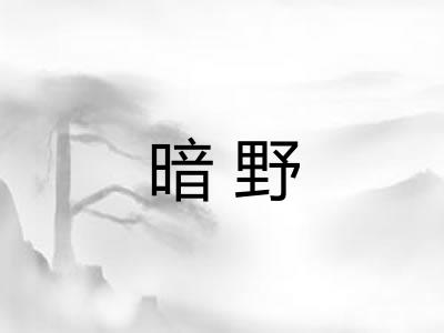 暗野