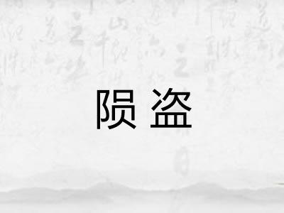 陨盗