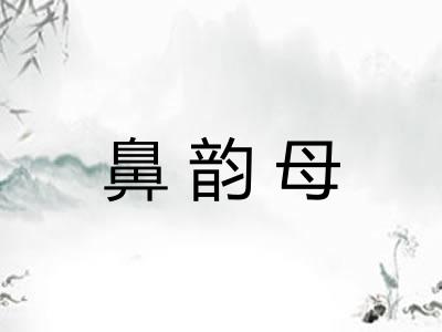 鼻韵母