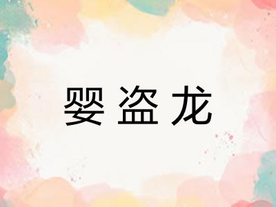 婴盗龙