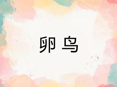 卵鸟