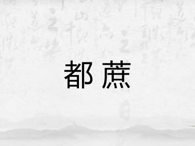 都蔗