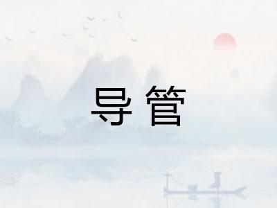 导管