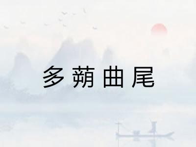 多蒴曲尾