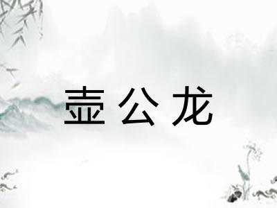 壶公龙