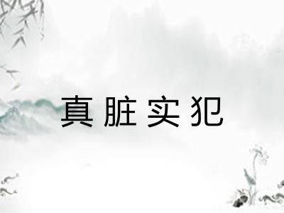 真脏实犯