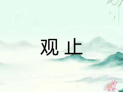 观止