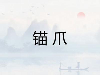 锚爪