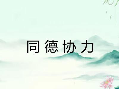 同德协力