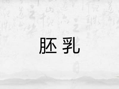 胚乳