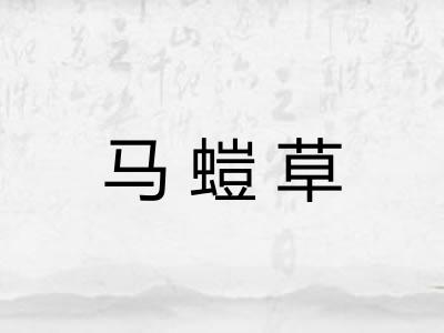 马螘草
