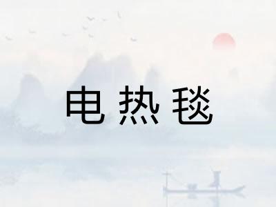 电热毯