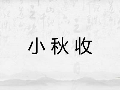 小秋收