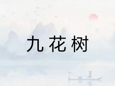 九花树