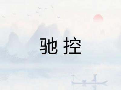 驰控