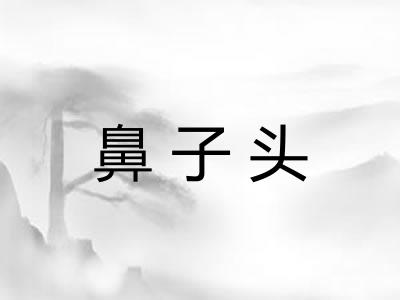 鼻子头