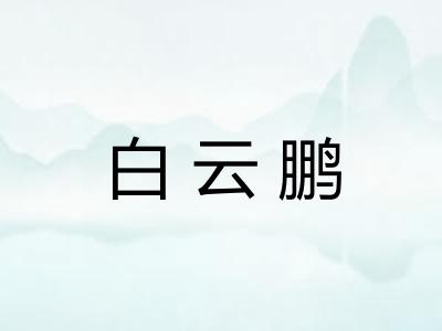 白云鹏