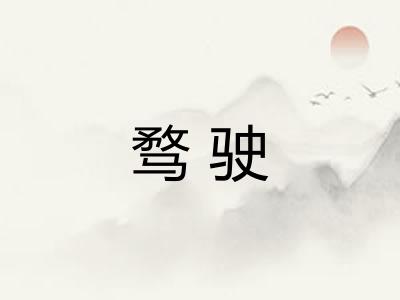 骛驶