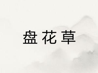 盘花草